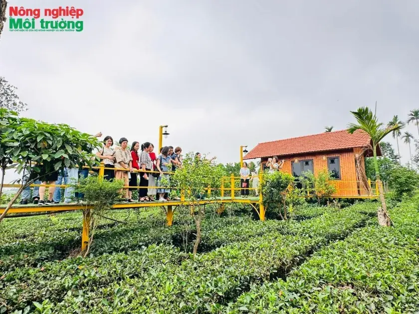 Nhà khoa học và doanh nghiệp lữ hành “hiến kế” phát triển du lịch ven đô Hà Nội