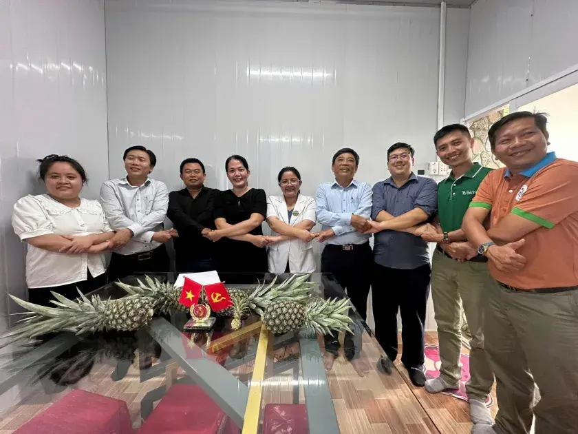 Cỏ bàng mạch xanh và bài học khởi nghiệp từ đất Đồng Tháp Mười