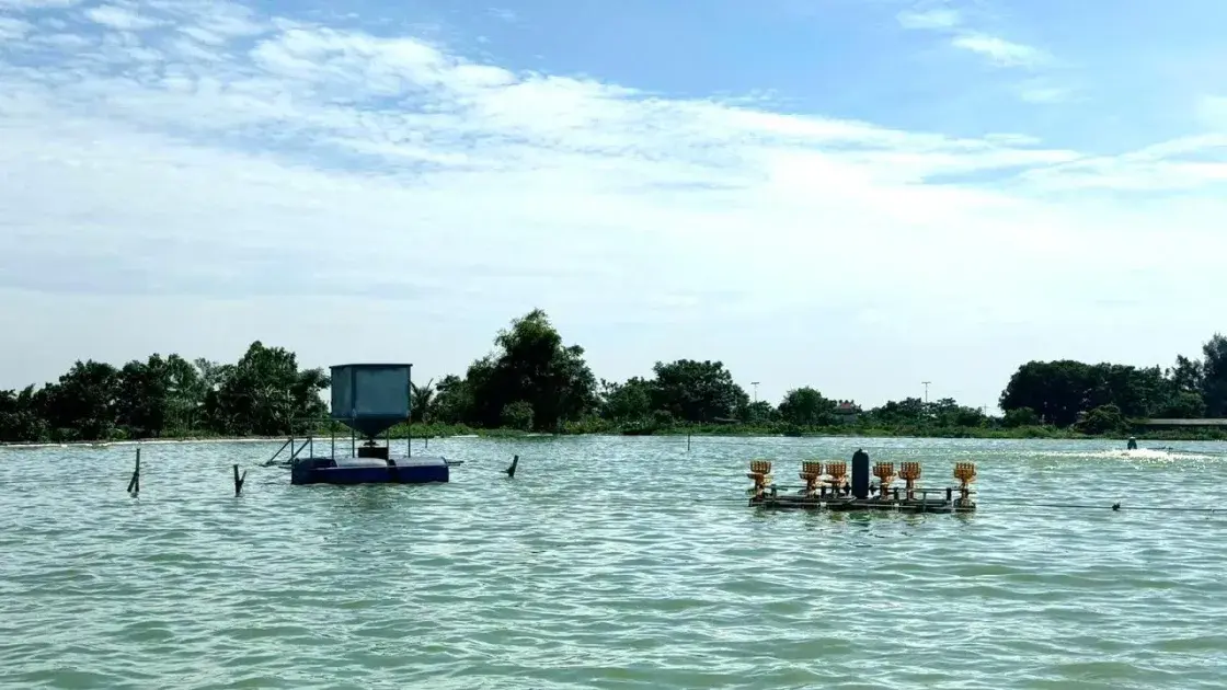 Hà Nội: Đảm bảo con giống trong phát triển thủy sản