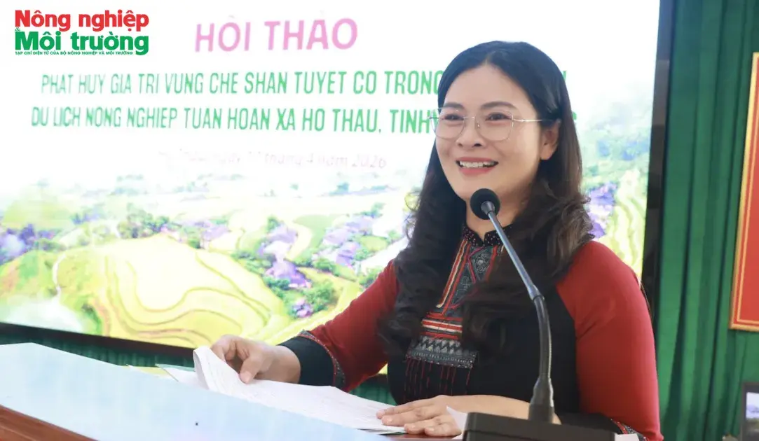 Phó Chủ tịch UBND tỉnh Tuyên Quang: Đưa chè Shan Tuyết trở thành trụ cột trong mô hình du lịch nông nghiệp tuần hoàn