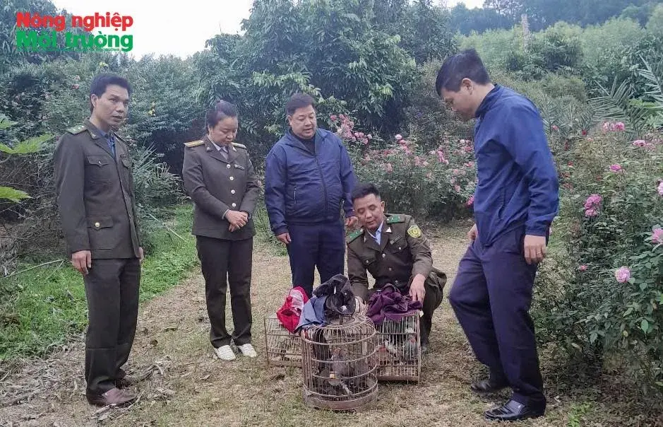 Thái Nguyên: Người dân tự nguyện giao nộp Rùa Núi Vàng quý hiếm
