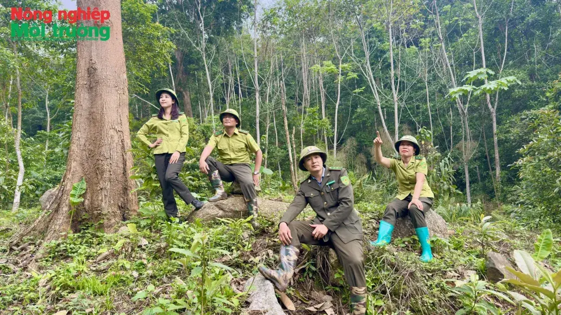 Bài 34: Thái Nguyên - Những bước chân thầm lặng giữ rừng Bắc Kạn