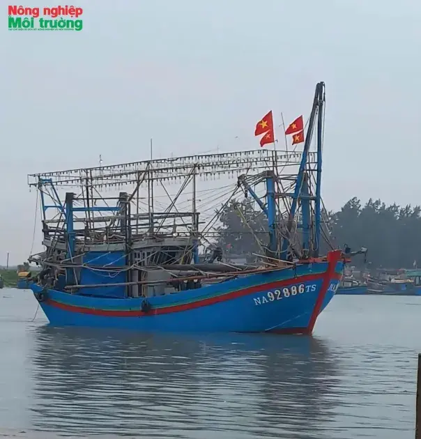 Cơn bão giá dầu "đè nặng" vai ngư dân