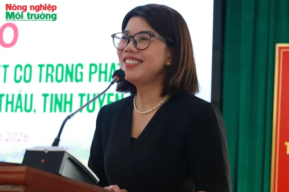 Sở Văn hóa, Thể thao và Du lịch Tuyên Quang khẳng định vai trò dẫn dắt phát triển trà Shan Tuyết gắn với du lịch nông nghiệp tuần hoàn