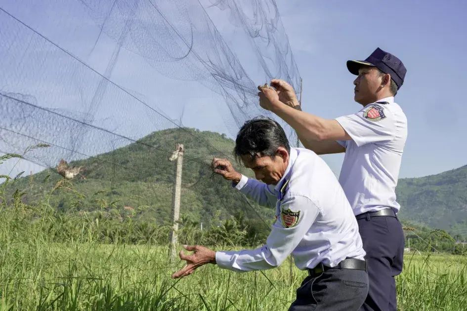 Bài 1: Giữ đàn chim yến, bảo vệ nền tảng sinh thái của nghề yến