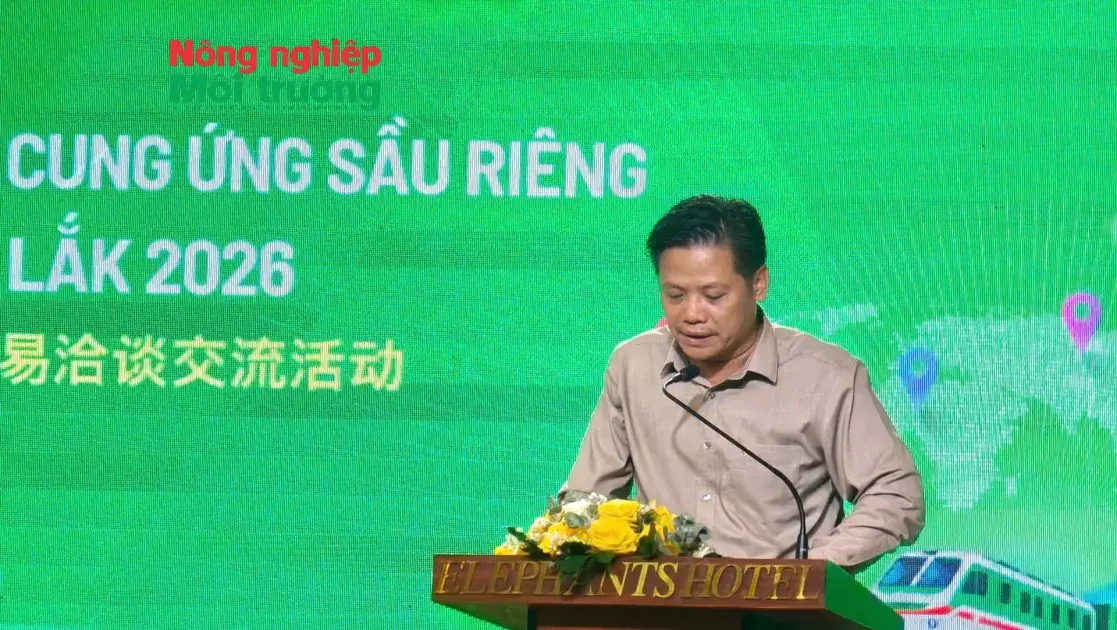 Thúc đẩy giao thương Việt-Trung tại Lễ hội Sầu riêng Đắk Lắk