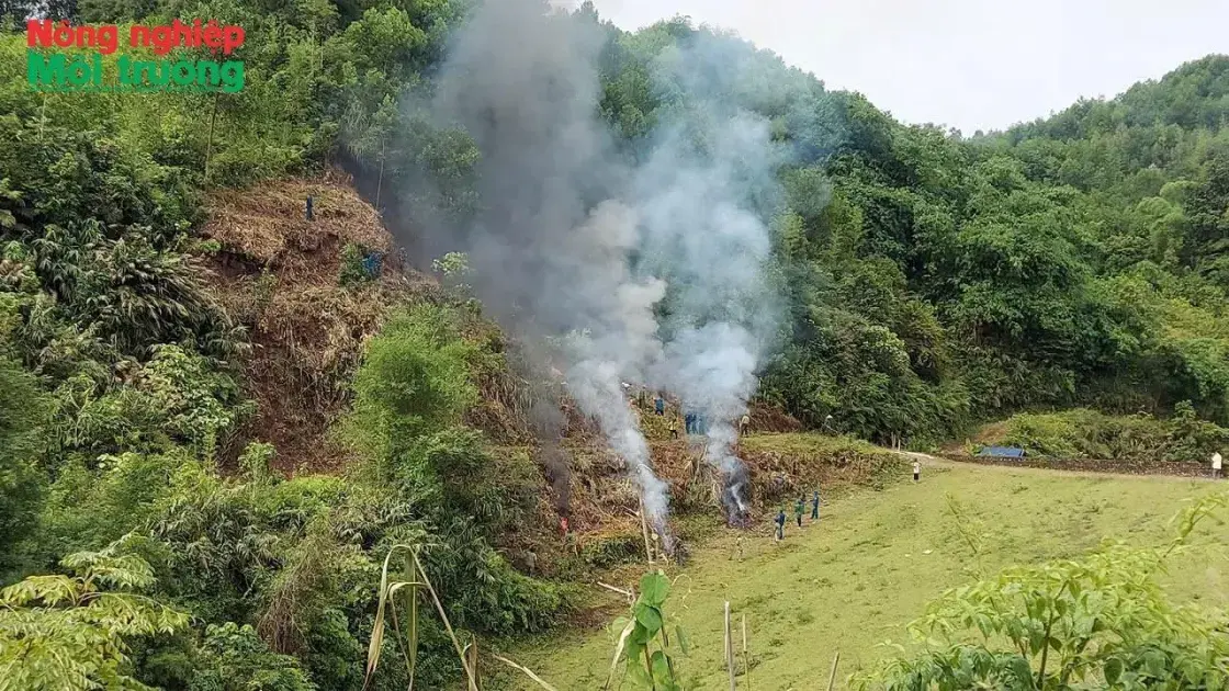 Bài 35: Phú Thọ - Những nỗ lực bền bỉ trong bảo vệ và phát triển rừng ở Lương Sơn