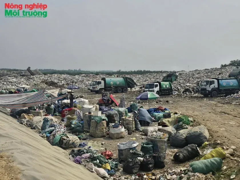 Cần giải pháp bền vững cho "bài toán" rác thải ở Quảng Ngãi