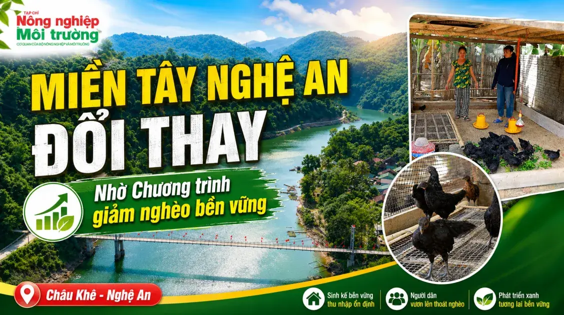 Miền Tây Nghệ An vơi bớt nhọc nhằn nhờ chính sách giảm nghèo