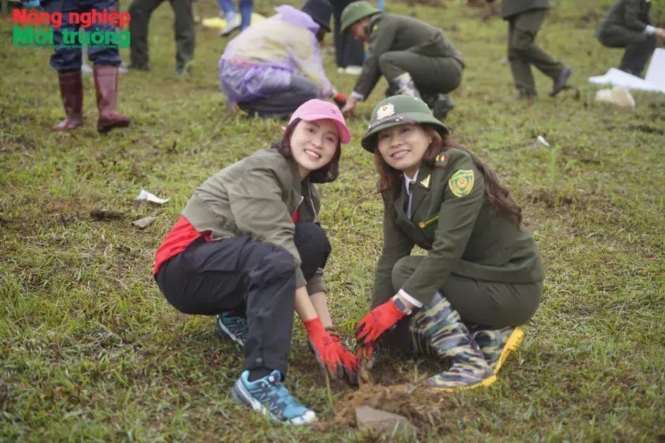 Thái Nguyên: Phát động chương trình “Ngân Sơn – Thông reo 2026” - Chung tay phủ xanh đất trống, phát triển rừng bền vững