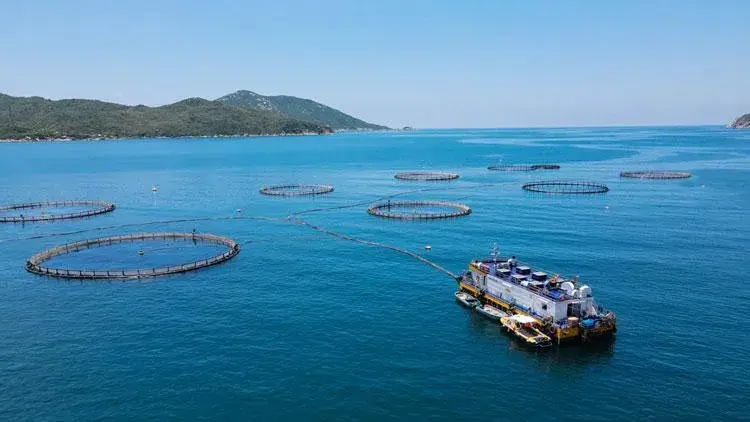 Khánh Hòa đặt trọng tâm vào công nghệ biển và năng lượng ngoài khơi để thúc đẩy tăng trưởng xanh