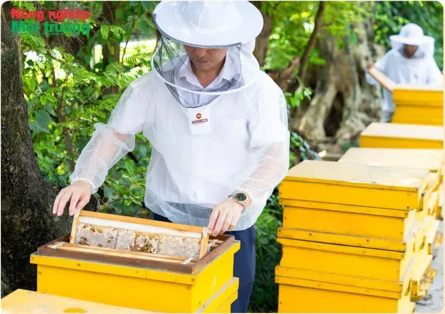 Phú Thọ có thêm 4 sản phẩm OCOP 5 sao cấp quốc gia