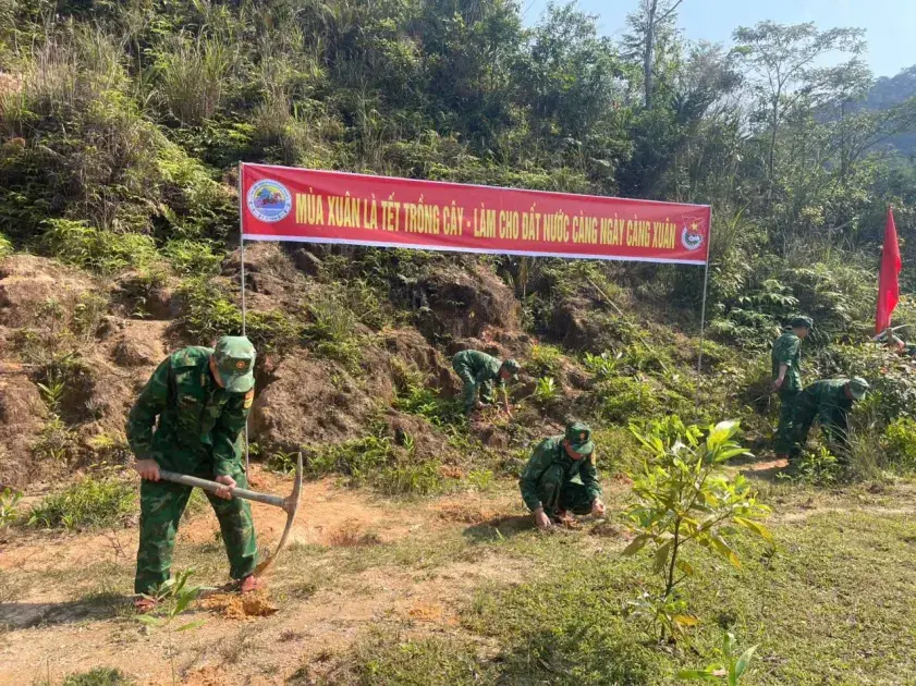 Bộ đội Biên phòng tỉnh Quảng Trị gieo màu xanh nơi vùng biên Tổ quốc