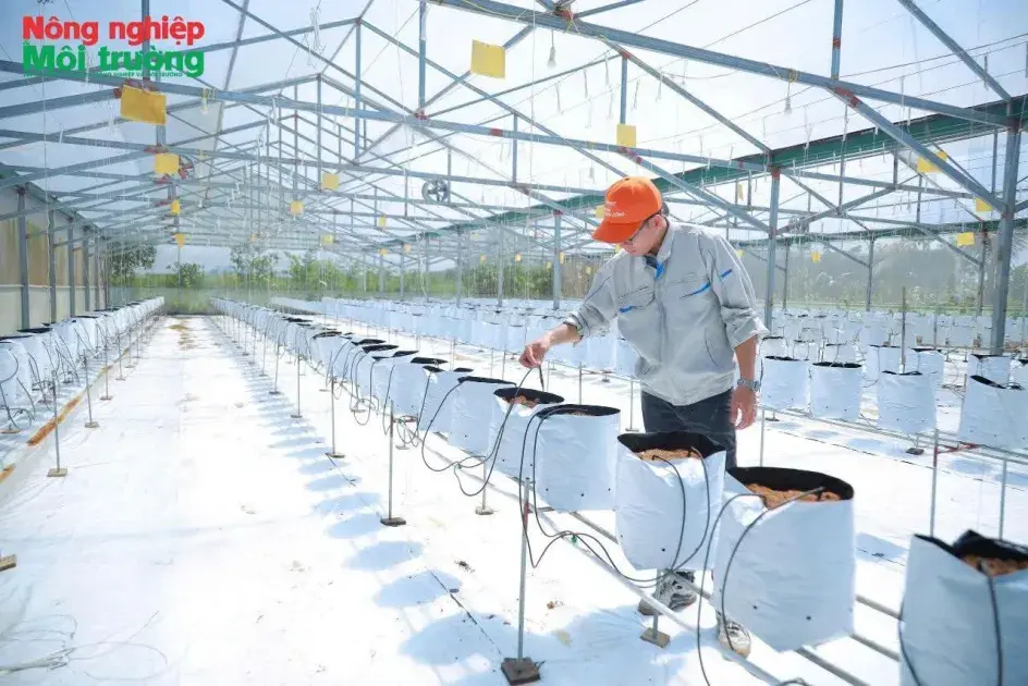 Nghệ An mở lối “tam nông”: Tư duy mới, động lực mới cho chặng đường đến 2030