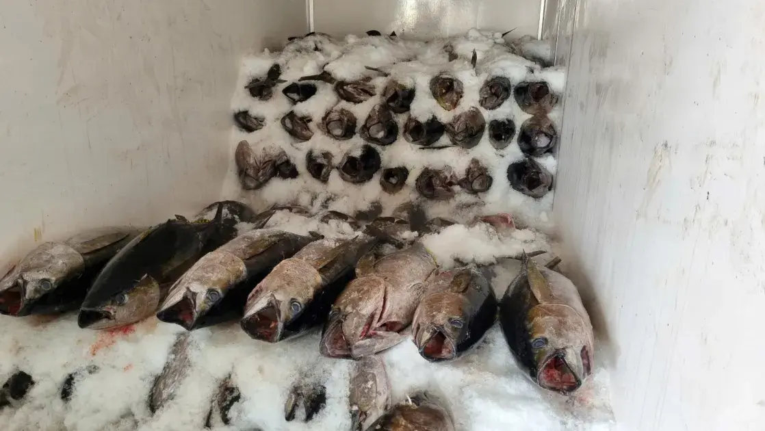 Nông nghiệp Khánh Hòa chuyển dịch theo hướng nâng cao chất lượng, hiệu quả