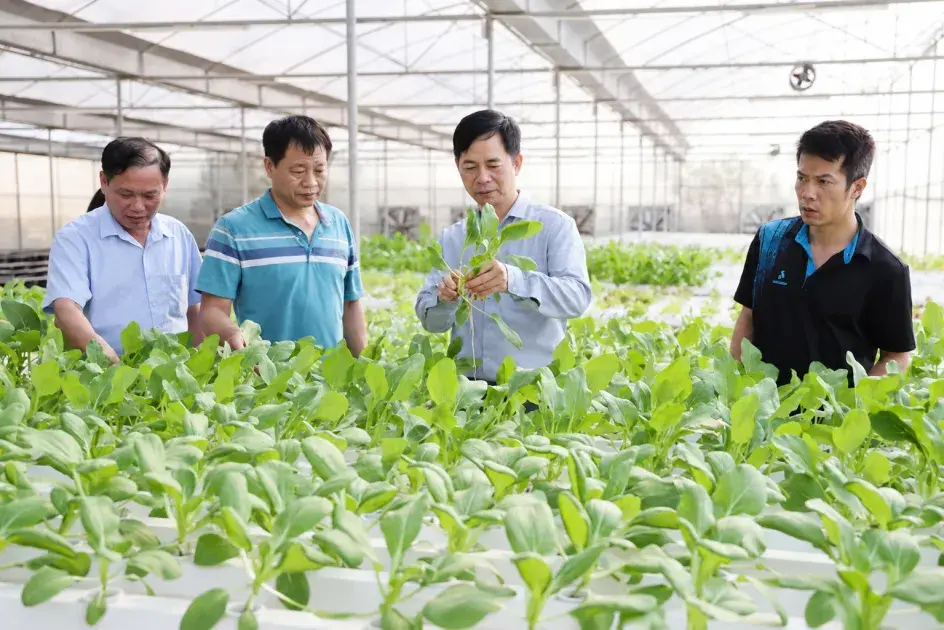 Hoàn thiện quy trình công nhận tiến bộ kỹ thuật trong nông nghiệp: Rõ tiêu chí, rõ thẩm quyền, thuận lợi hơn cho tổ chức, cá nhân