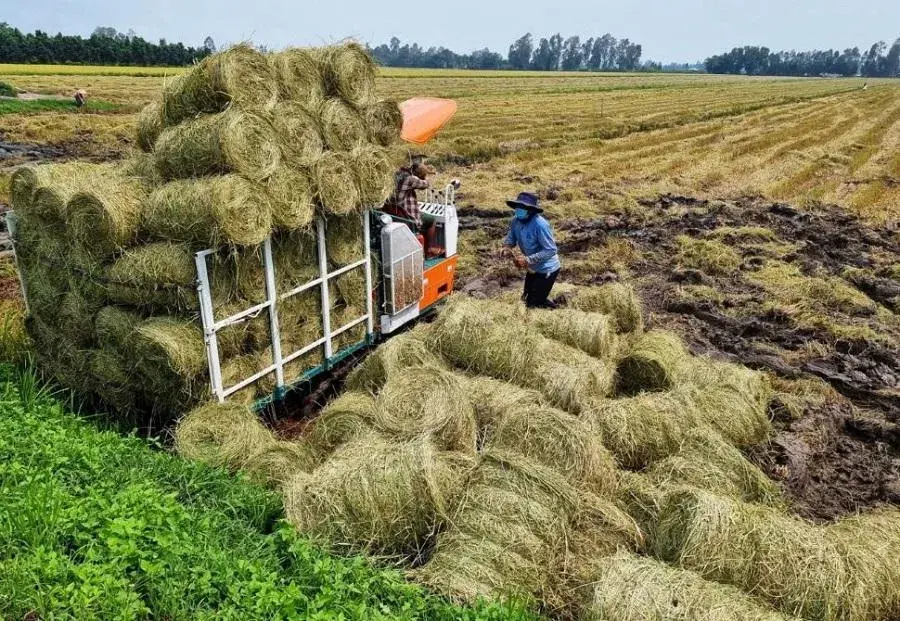 Vật liệu phân hủy sinh học: Hướng mới cho nông nghiệp xanh