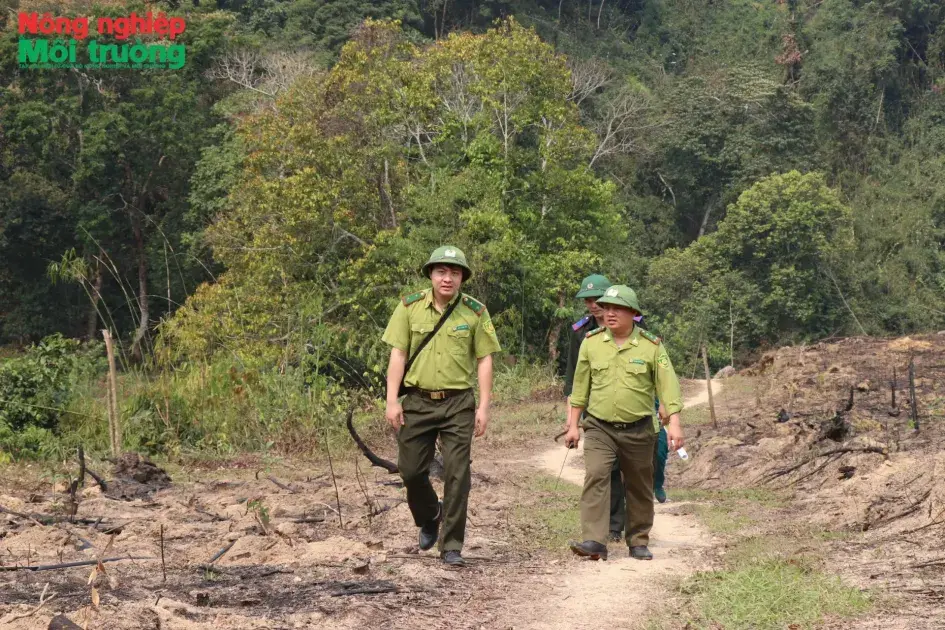 Bài 14: Kiểm lâm liên xã Sơn Động giữ rừng gắn với phát triển kinh tế lâm nghiệp bền vững