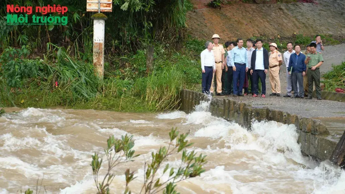 Quảng Ngãi tăng giải pháp bảo đảm an toàn vùng sạt lở