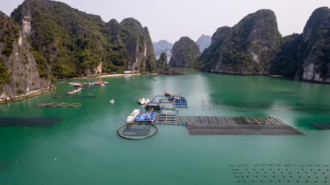 Thể chế hóa và hoàn thiện pháp luật về biển và hải đảo