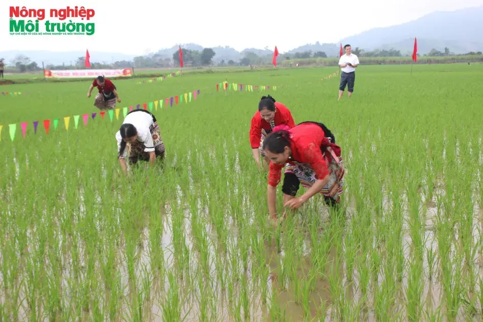 Rộn ràng hội xuống đồng bản Bua nơi miền Tây xứ Nghệ