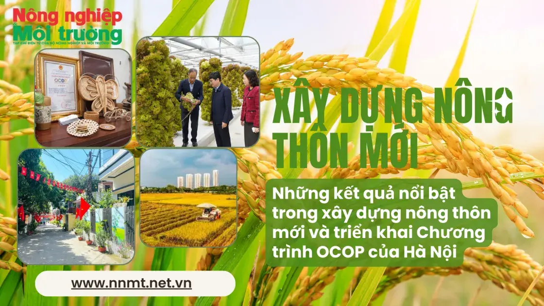 Hà Nội chuyển mình nhờ các chương trình phát triển nông nghiệp, nông thôn