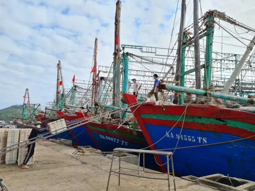 Nghệ An: Đầu tư 500 tỷ đồng phát triển thủy sản theo hướng bền vững