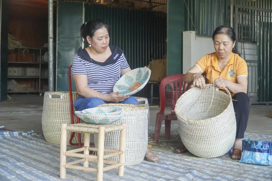 Hồi sinh nghề cói, thay thế đồ nhựa