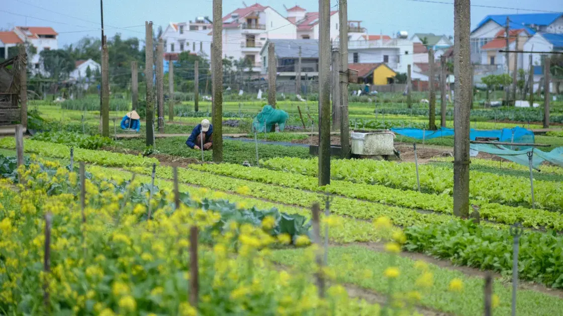 Hoàn thiện thể chế, mở không gian tăng trưởng mới cho ngành Nông nghiệp và Môi trường