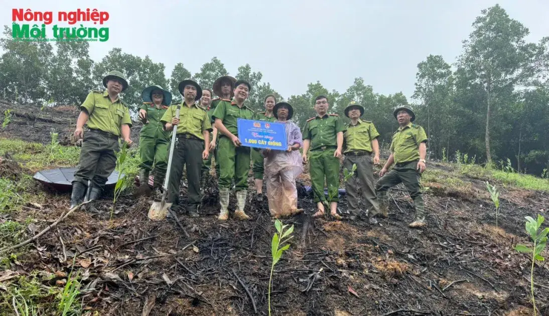 Thái Nguyên hỗ trợ trồng rừng cho người dân