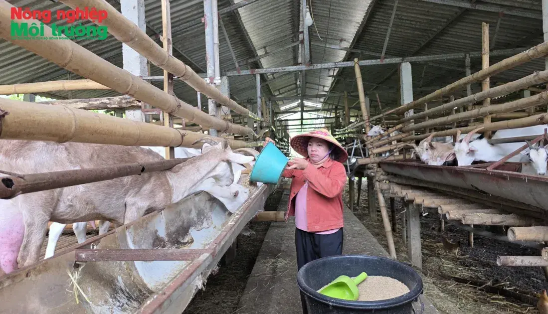 Khơi dậy nội lực từ phát triển kinh tế hộ