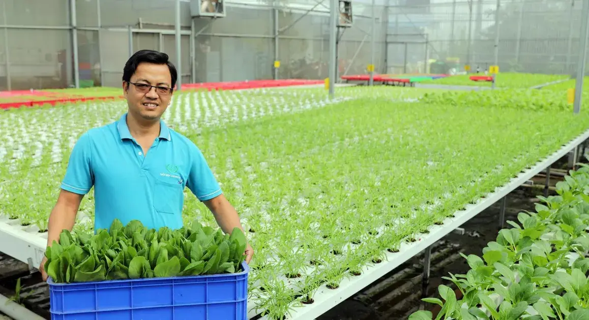 Thành phố Hồ Chí Minh gỡ điểm nghẽn để hợp tác xã tham gia chuỗi giá trị