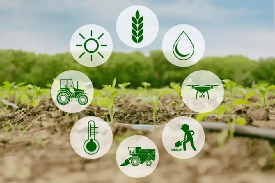 Đơn giản hoá thủ tục hành chính của 11 lĩnh vực nông nghiệp và môi trường