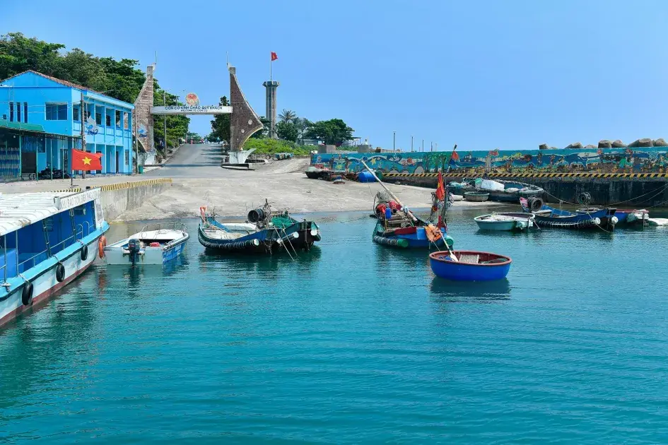 Bài 6: “Không đánh đổi màu xanh để lấy đầu tư ngắn hạn”