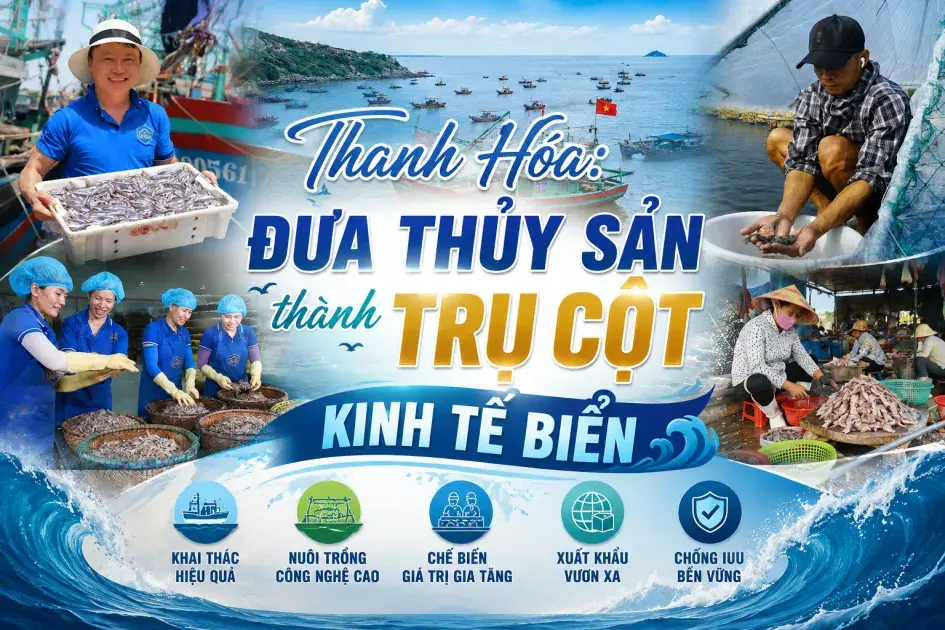 Thanh Hóa: Đưa thủy sản thành trụ cột kinh tế biển