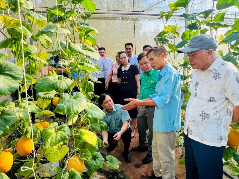 Hà Nội sẽ phát động thi đua “Nông dân Thủ đô đồng hành cùng nông sản sạch”