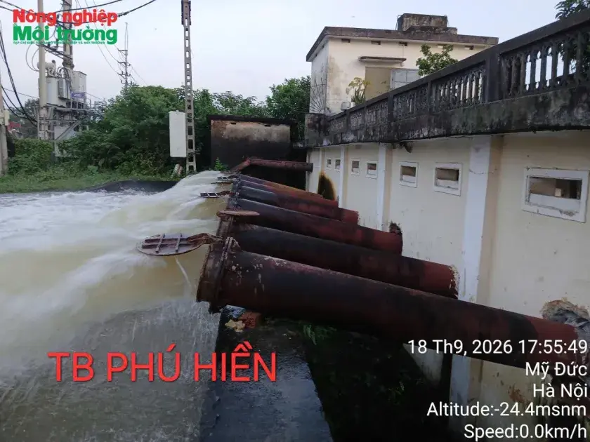 Hà Nội cần khẩn cấp xử lý sạt lở công trình thủy lợi