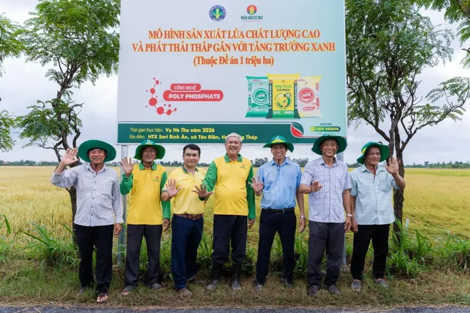 Đồng Tháp phát triển mô hình kinh tế tập thể "Xanh-Số-Tuần hoàn"