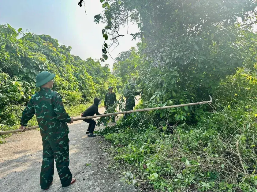 Quảng Trị: Đặc khu Cồn Cỏ ra quân hành động vì môi trường