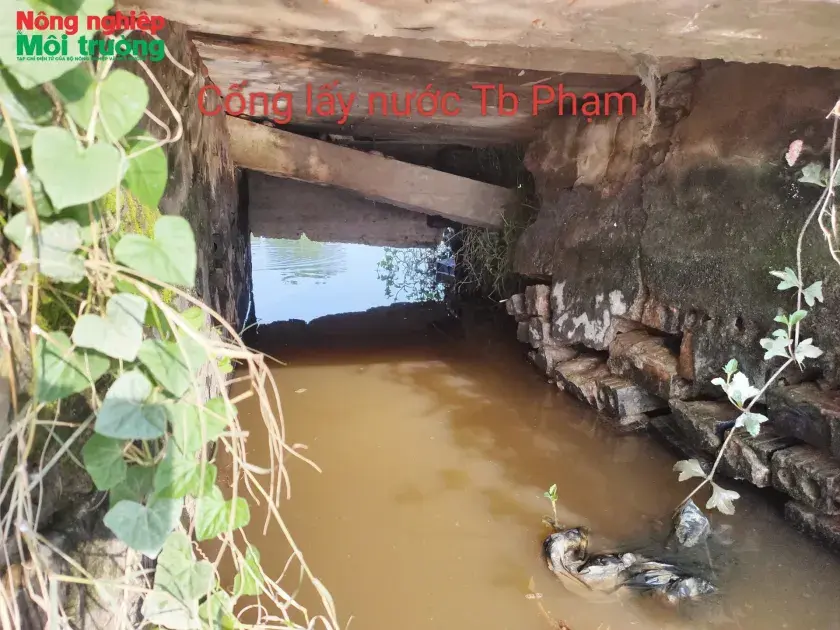 Bài 15: Ninh Bình: Hệ thống thuỷ lợi Vụ Bản trước áp lực kép thiên tai và xuống cấp hạ tầng