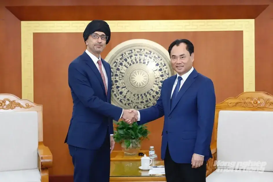 Từ đối tác kinh tế đến đối tác chiến lược: Việt Nam - Singapore đang định hình một cấu trúc hợp tác mới