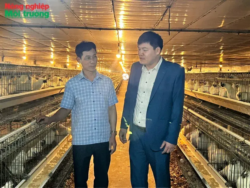 Bắc Ninh hướng đến xây dựng ngành Chăn nuôi an toàn