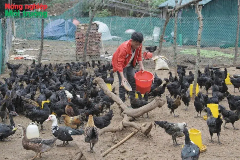 Phát huy vai trò Hội Nông dân trong tái cơ cấu nông nghiệp ở Bắc Yên