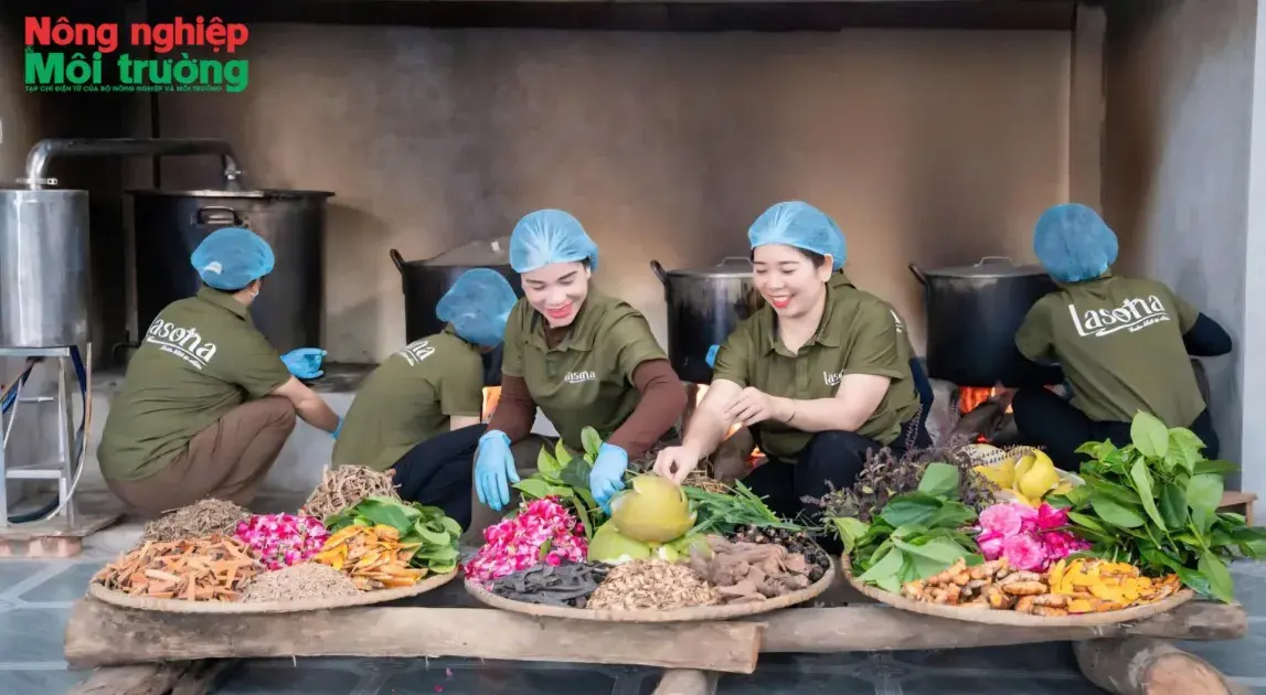 Thức giấc hương quê trong từng giọt thảo dược