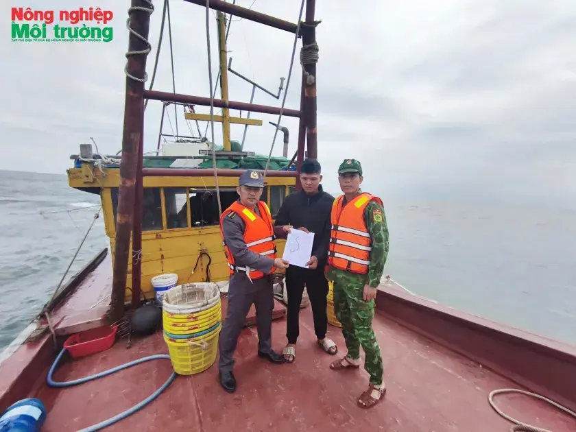 Ninh Bình tăng cường quản lý nghề cá, quyết liệt thực hiện chống khai thác IUU