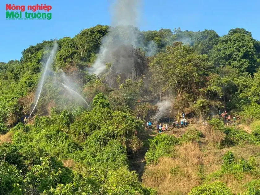 Bài 25: Kiểm lâm liên phường, xã Chũ – Lục Ngạn: Giữ vững hơn 40% độ che phủ rừng