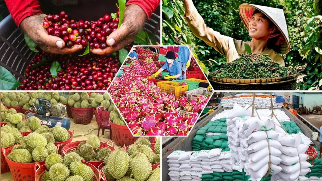 Tiêu chí và quy trình đánh giá, phân hạng sản phẩm OCOP
