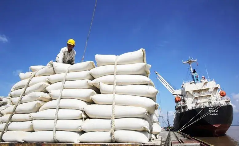 Quy định mới về hoạt động kinh doanh xuất, nhập khẩu gạo