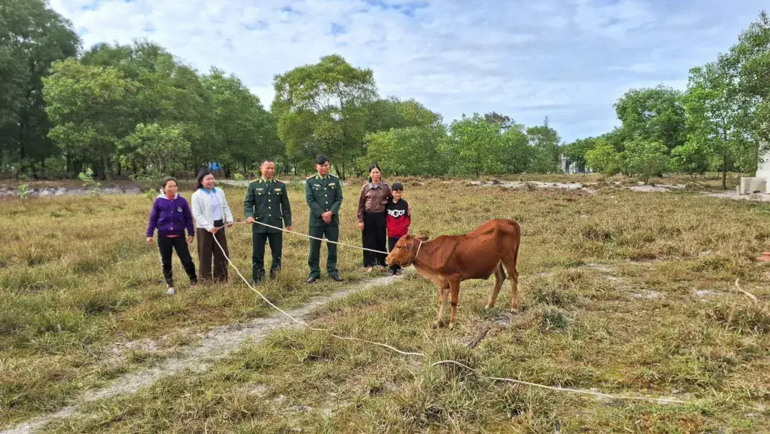 Quảng Trị: Mô hình "Bò giống quay vòng" cải thiện sinh kế phụ nữ vùng biên giới biển