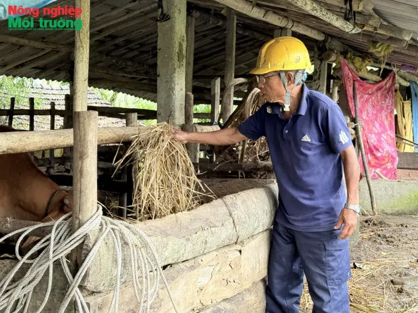 Quảng Ngãi đặt mục tiêu giảm tỷ lệ hộ nghèo còn 1,47%